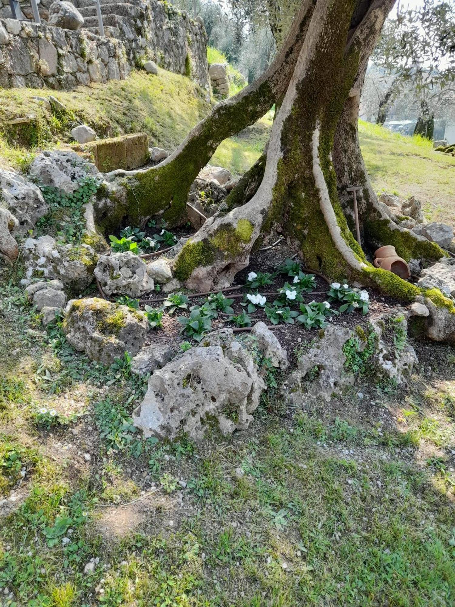 Villa Antopolis Malcesine Kültér fotó